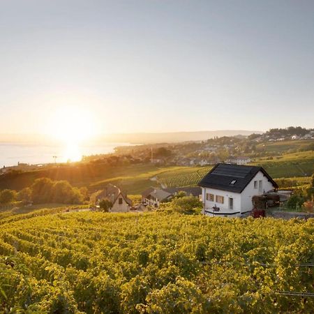 #Lavaux Lutry Exterior foto