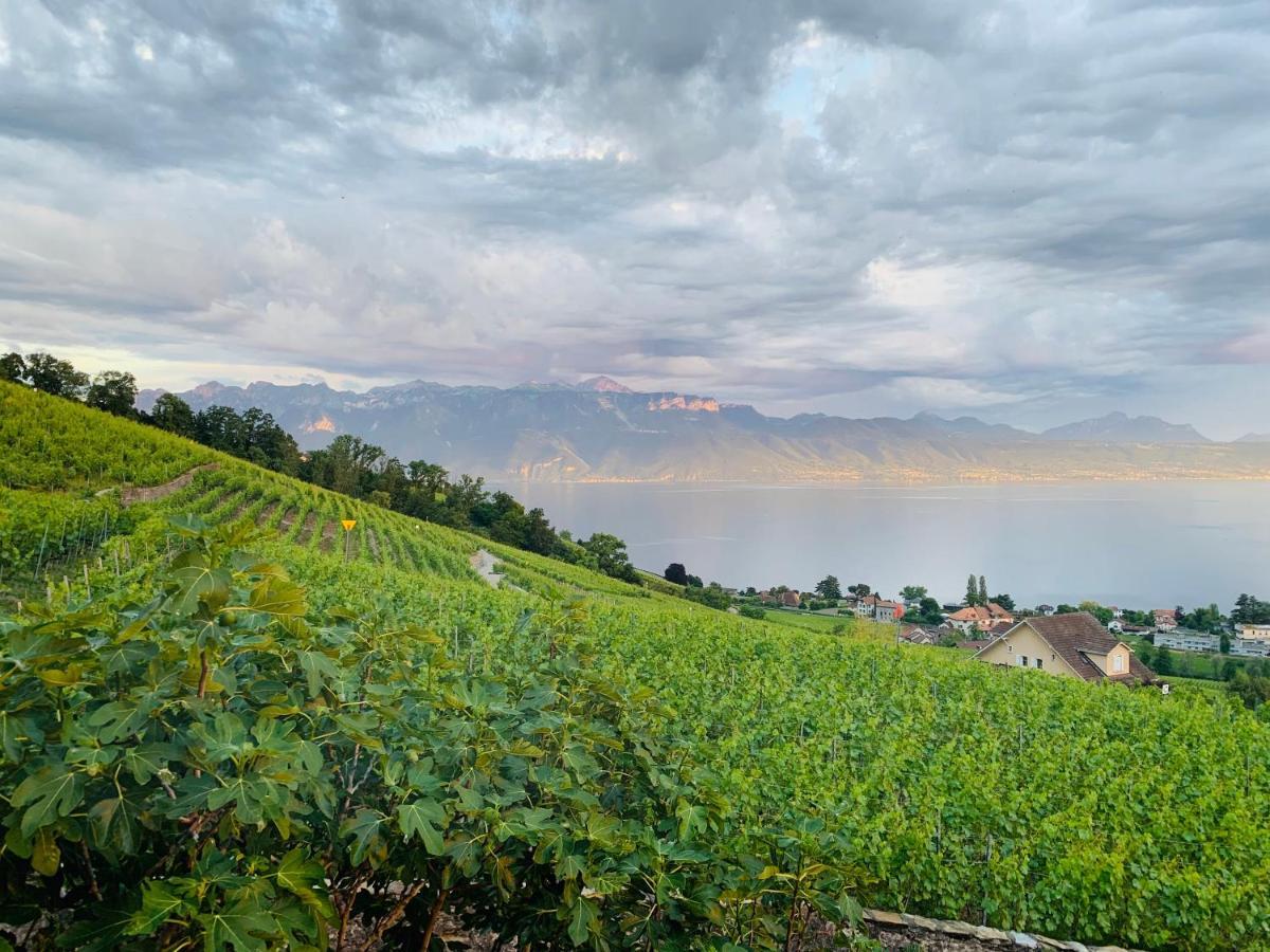 #Lavaux Lutry Exterior foto